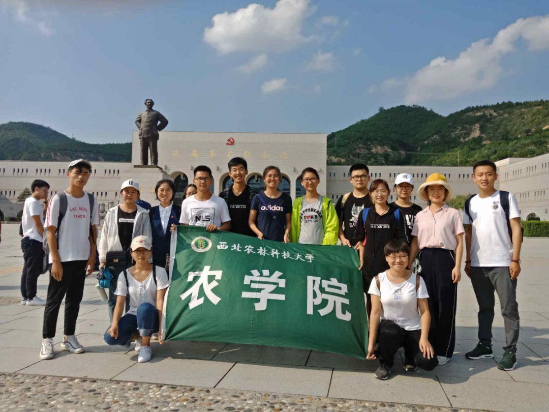 妖刀少女异闻录